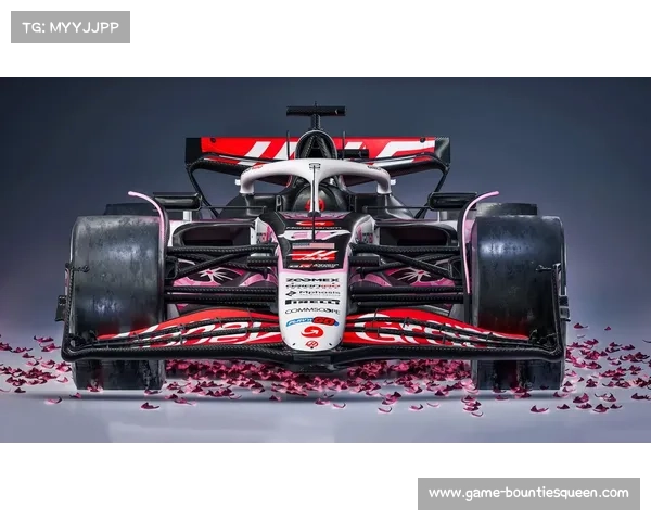 F1委员会通过新规:赛车车身至少55%面积需覆盖涂装 F1委员会通过新规:赛车车身至少55%面积需覆盖涂装